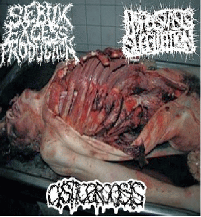 Sebum Excess Production : Hypostasis Suggilation - Sebum Excess Production - Cysticercosis